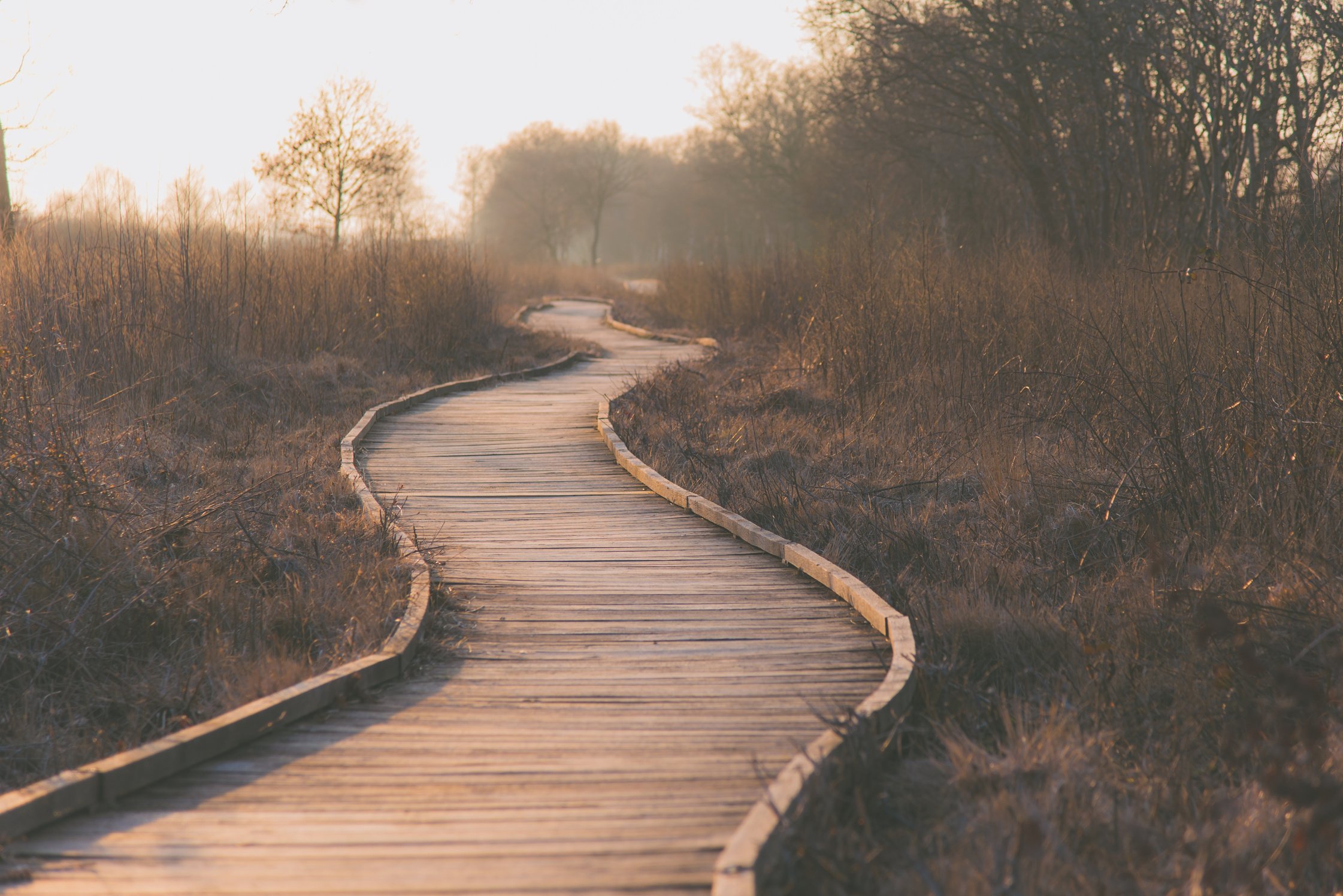 Pathway in the Park